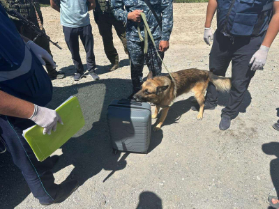 ОПМ «Қарасора»: более 30 подозреваемых задержаны в Кызылорде