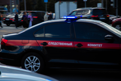 СК: генетический материал семьи Усольцевых не обнаружен на найденной палке
