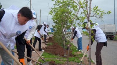 В столице молодежь АНК посадила деревья