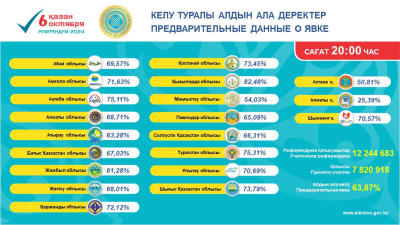 Референдум 2024: явка превысила 63%, начался подсчет голосов