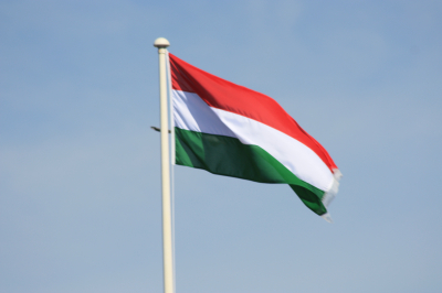Полковник Баранец заявил, что Мадьяр может попытаться откусить часть Украины