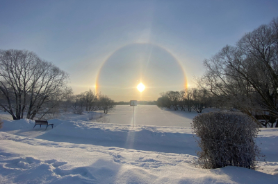 Приметы 19 февраля &mdash; Вукола Телятник: забота о приплоде и домашний уют