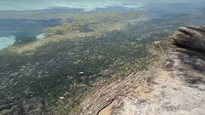 На Каспии проверят воду после массовой гибели рыбы