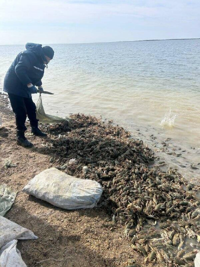 Более тонны живых раков обнаружили в машине у жителя ВКО