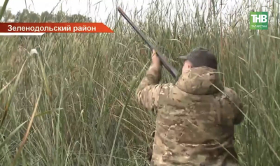 Сурок-байбак, заяц и лось: в Татарстане назвали самых популярных зверей для охоты