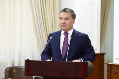 Министр пообещал запустить в Казахстане более 40 проектов меньше, чем за месяц