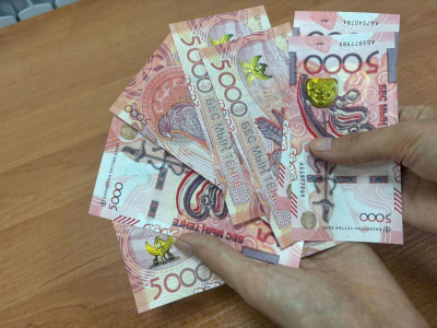 Финансирование Назарбаев Университета, НИШ, ФСМС и МФЦА изменится с 2026 года