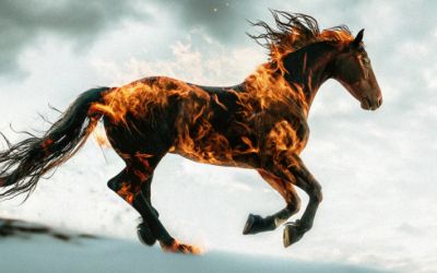 Три знака Зодиака не будут знать бед. Новогодний гороскоп