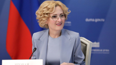 Яровая: меры против нелегальной миграции дали эффект
