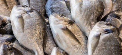 Более 50 наименований казахстанской рыбной продукции экспортируется в 21 страну мира