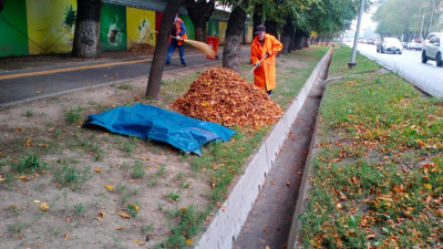 Дожди в Алматы мобилизовали коммунальные службы