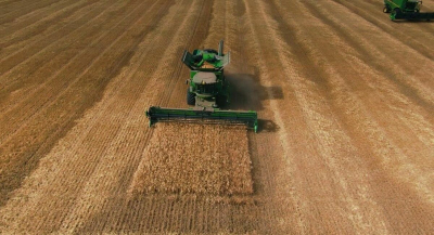 Собрать, высушить и распродать