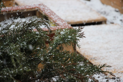 В Астане учащиеся 0-9 классов будут учиться дистанционно