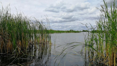 Вода в Камыш-Самарские озера в ЗКО поступит впервые за 20 лет – минводресурсов