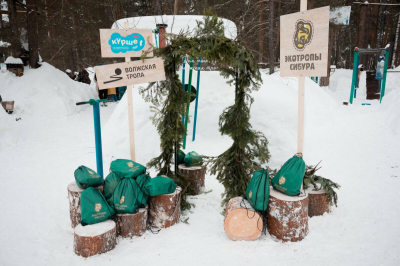 Семейный экоквест по &laquo;Маршруту Лисы&raquo; провели на экотропе СИБУРа в Казани