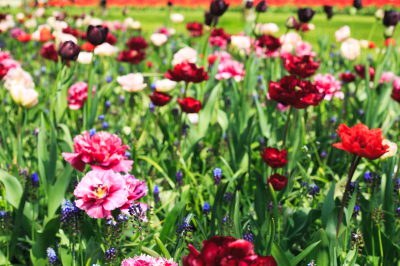 Психолог Хорс назвал причины весенней депрессии