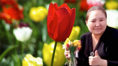 Аким не сдержала слез после скандала с тюльпанами в Актюбинской области
