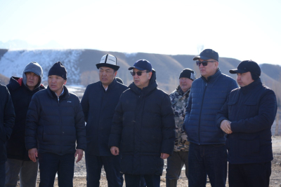 Глава Минсельхоза поручил изолировать животных в селе Эмгекчил