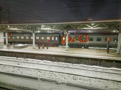 В Рязанской области обесточена железная дорога: остановлены пассажирские поезда