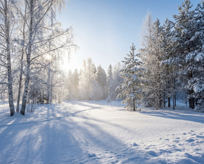 Морозное завершение рабочей недели ждет Татарстан: днем местами до -25 градусов