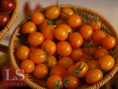 Помидоры, фарш и рыба могут стать социально значимыми продуктами