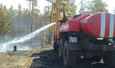 Для лесхозов Восточного Казахстана закупят больше 100 единиц техники