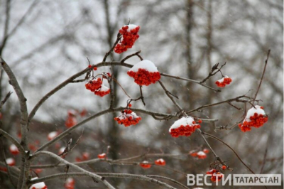 В Татарстане на этой неделе ожидаются сильные морозы