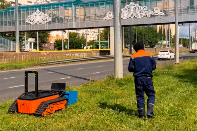 В Москве пухососы, в Казани травакосы