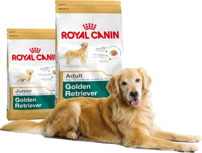 Royal Canin: начало эпохи здорового питания для животных