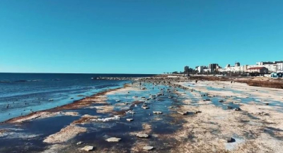 Каспий мелеет: казахстанские экологи призывают экономить воду