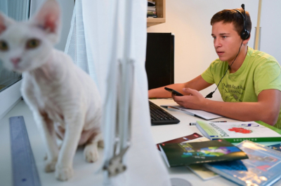 Минпросвещения готовит законопроект о&nbsp;регулировании семейного образования