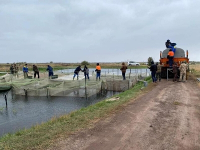 Карпы возвращаются в водоемы Казахстана