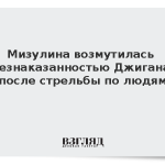 Мизулина возмутилась безнаказанностью Джигана после стрельбы по людям