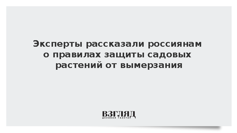 Эксперт рассказала россиянам о правилах защиты садовых растений от вымерзания