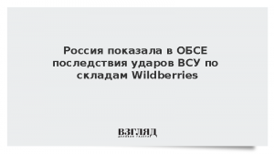 Россия показала в ОБСЕ последствия ударов ВСУ по складам Wildberries