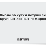 На Ямале за сутки потушили 20 крупных лесных пожаров