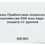 Страны Прибалтики попросили у Еврокомиссии 500 млн евро на защиту от дронов