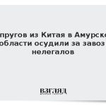 Супругов из Китая в Амурской области осудили за завоз нелегалов