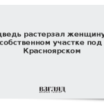 Медведь растерзал женщину на собственном участке под Красноярском