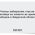 Члены избиркома спасли китайца из кювета во время выборов в Амурской области