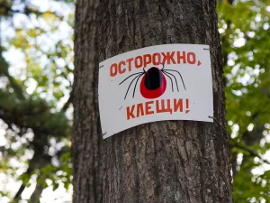 В Татарстане с начала сезона от клещей пострадали почти 10 тыс. человек