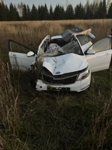 В Татарстане девушка погибла в ДТП с лосем