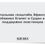 Начальник генштаба Эфиопии обвинил Египет и Судан в поддержке повстанцев