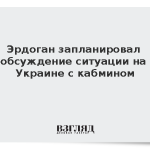 Эрдоган запланировал обсуждение ситуации на Украине с кабмином