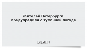 Жителей Петербурга предупредили о туманной погоде