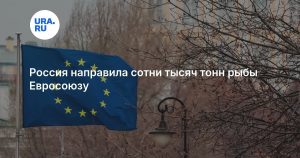 Россия направила сотни тысяч тонн рыбы Евросоюзу