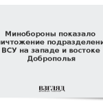 Минобороны показало уничтожение подразделений ВСУ на западе и востоке Доброполья