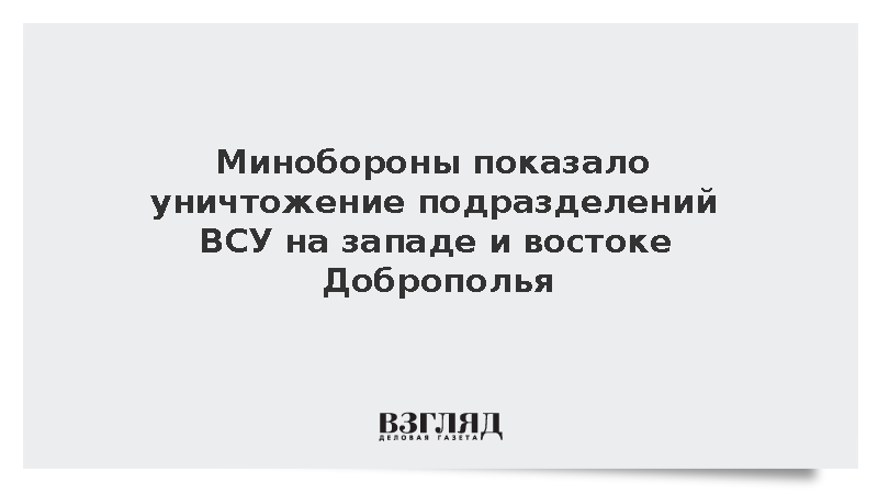 Минобороны показало уничтожение подразделений ВСУ на западе и востоке Доброполья