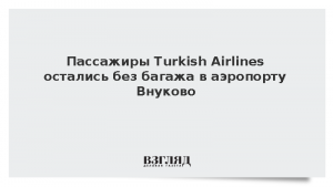 Пассажиры Turkish Airlines остались без багажа в аэропорту Внуково