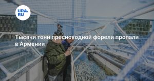 Тысячи тонн пресноводной форели пропали в Армении